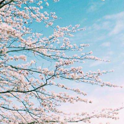 BB贝博平台登录app截图